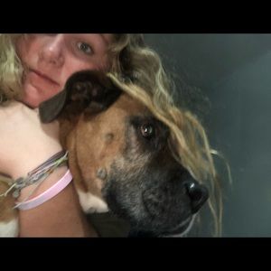 Meet your Posher, Audra